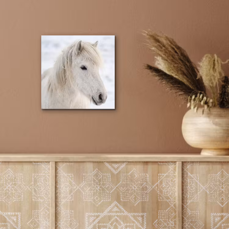 Paard - Kop - Winter - Dieren - Wit aluminium wit klein -sfeer4