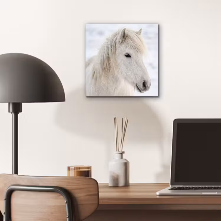 Paard - Kop - Winter - Dieren - Wit aluminium wit klein -sfeer5