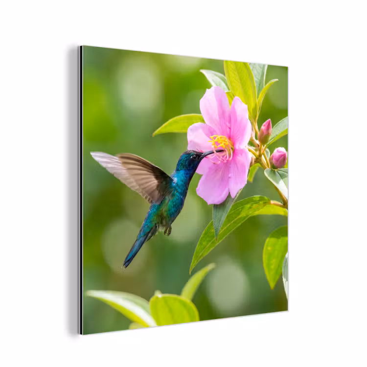 Kolibrie - Bloem - Natuur - Groen aluminium wit klein -3d