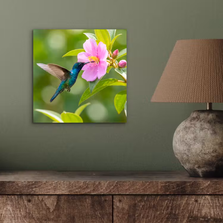 Kolibrie - Bloem - Natuur - Groen aluminium wit klein -sfeer2