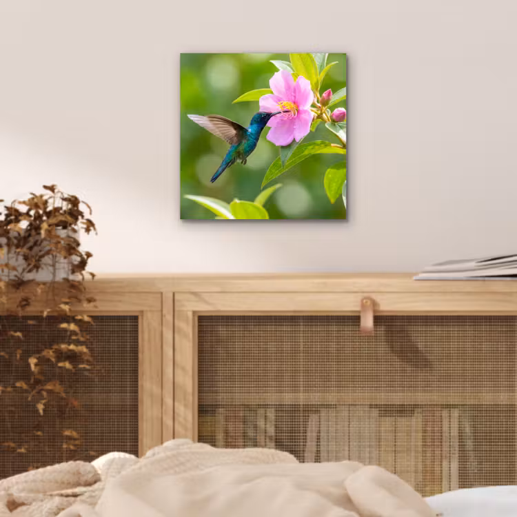 Kolibrie - Bloem - Natuur - Groen aluminium wit klein -sfeer3