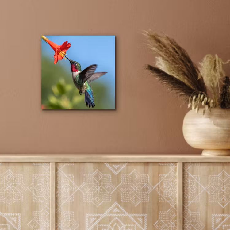 Kolibrie - Bloem - Natuur - Groen aluminium wit klein -sfeer4