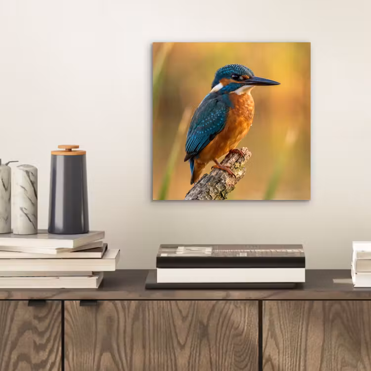 IJsvogel - Tak - Water - Kleurrijk - Levendig aluminium wit klein -sfeer1