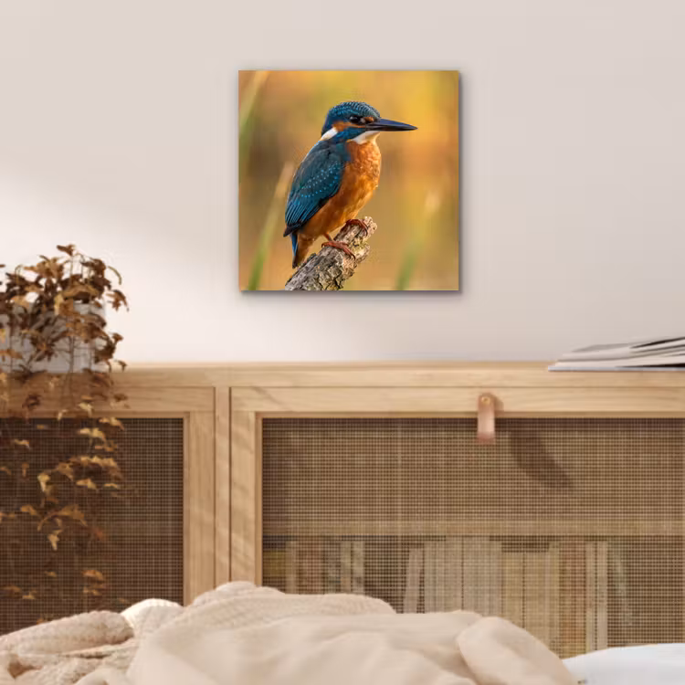IJsvogel - Tak - Water - Kleurrijk - Levendig aluminium wit klein -sfeer3