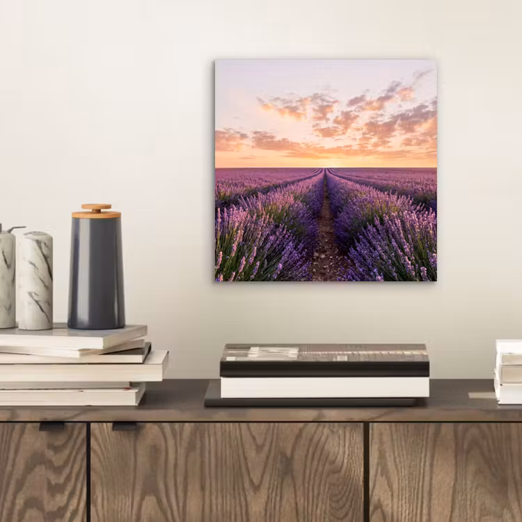 Landschap - Lavendelveld - Paars aluminium wit klein -sfeer1