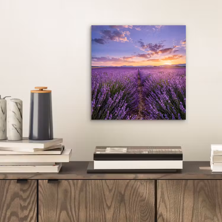 Lavendel - Veld - Natuur - Paars aluminium wit klein -sfeer1