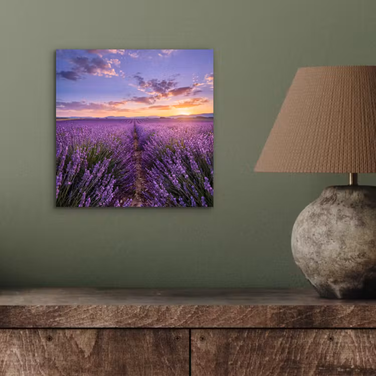 Lavendel - Veld - Natuur - Paars aluminium wit klein -sfeer2