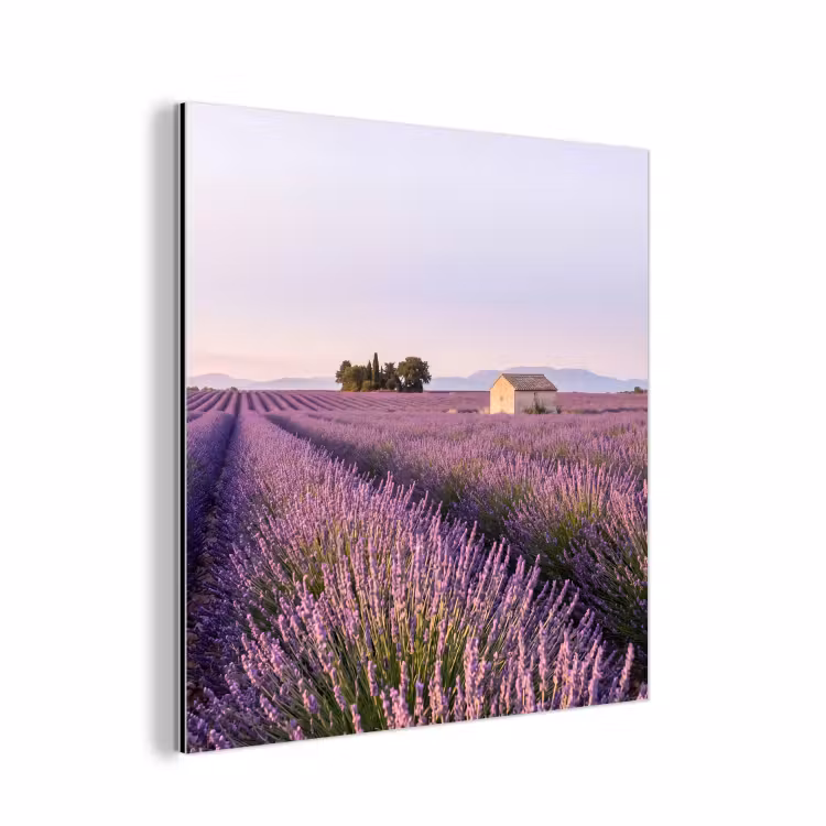 Lavendel - Landschap - Sereen - Paars aluminium wit klein -3d