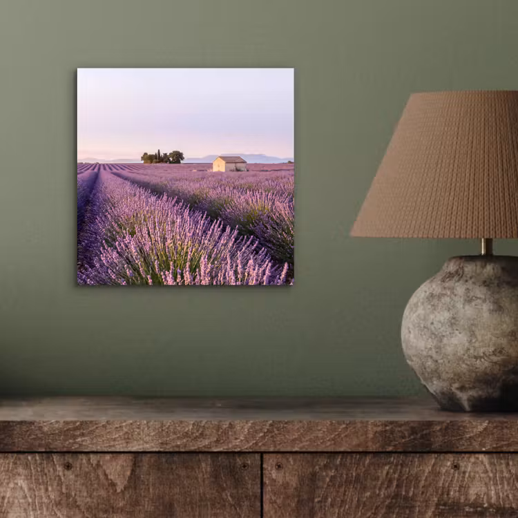 Lavendel - Landschap - Sereen - Paars aluminium wit klein -sfeer2