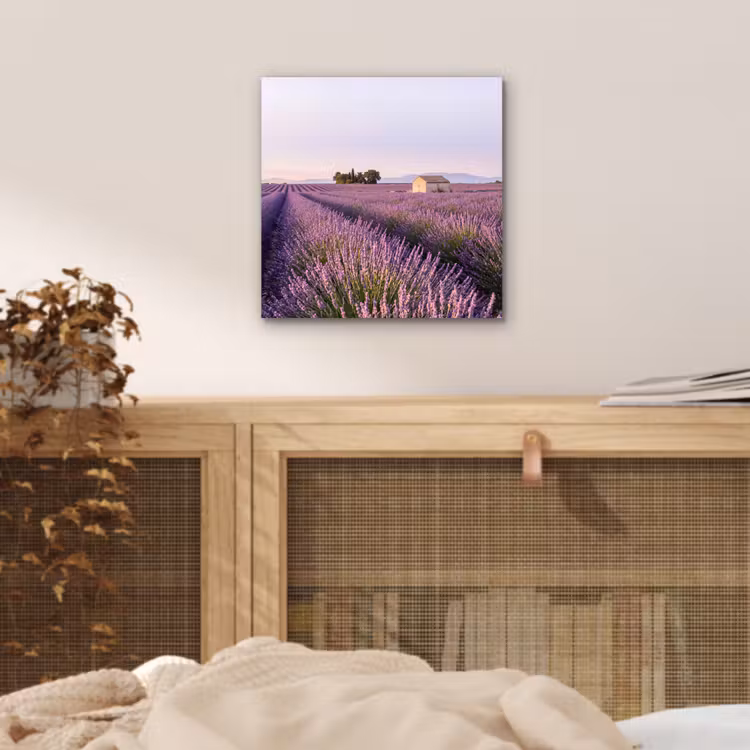Lavendel - Landschap - Sereen - Paars aluminium wit klein -sfeer3