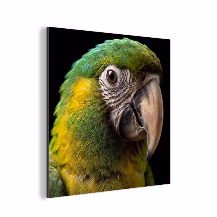 Ara - Portret - Groen aluminium wit klein -3d