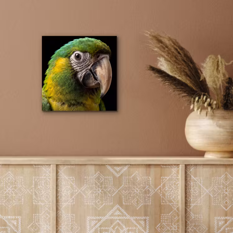 Ara - Portret - Groen aluminium wit klein -sfeer4