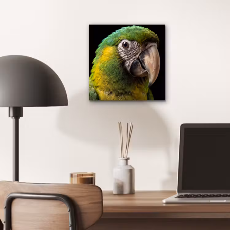 Ara - Portret - Groen aluminium wit klein -sfeer5