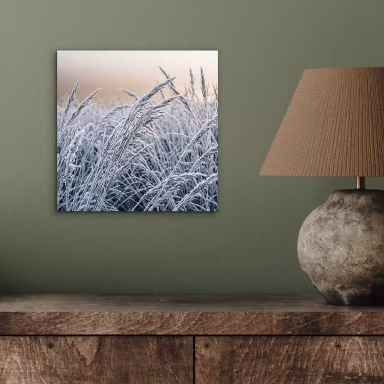 Rijp - Gras - Kristallen - Winter - Minimalistisch aluminium wit klein -sfeer2
