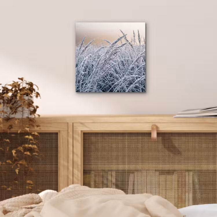 Rijp - Gras - Kristallen - Winter - Minimalistisch aluminium wit klein -sfeer3
