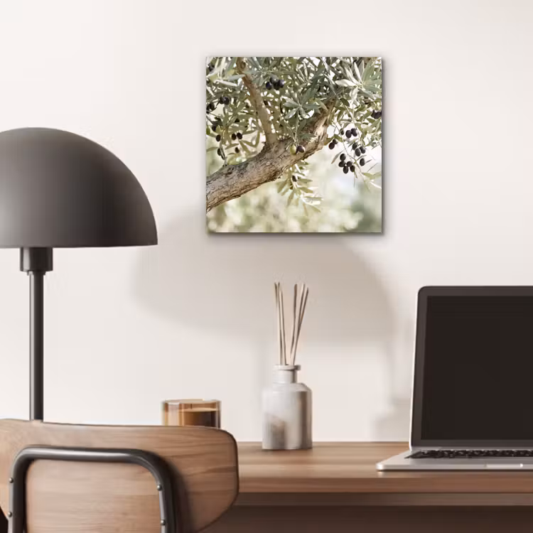 aluminium wall art - Olive tree - branch - green - Olijfboom - tak - groen aluminium wit klein