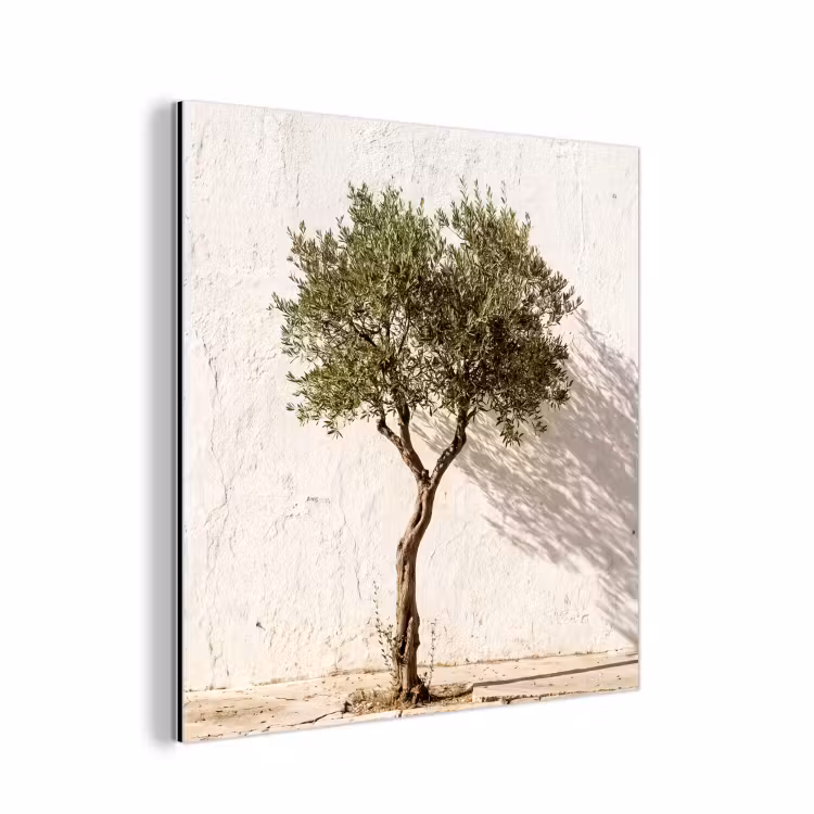 aluminium wall art - Olive Tree - Wall - White - Olijfboom - muur - wit aluminium wit klein