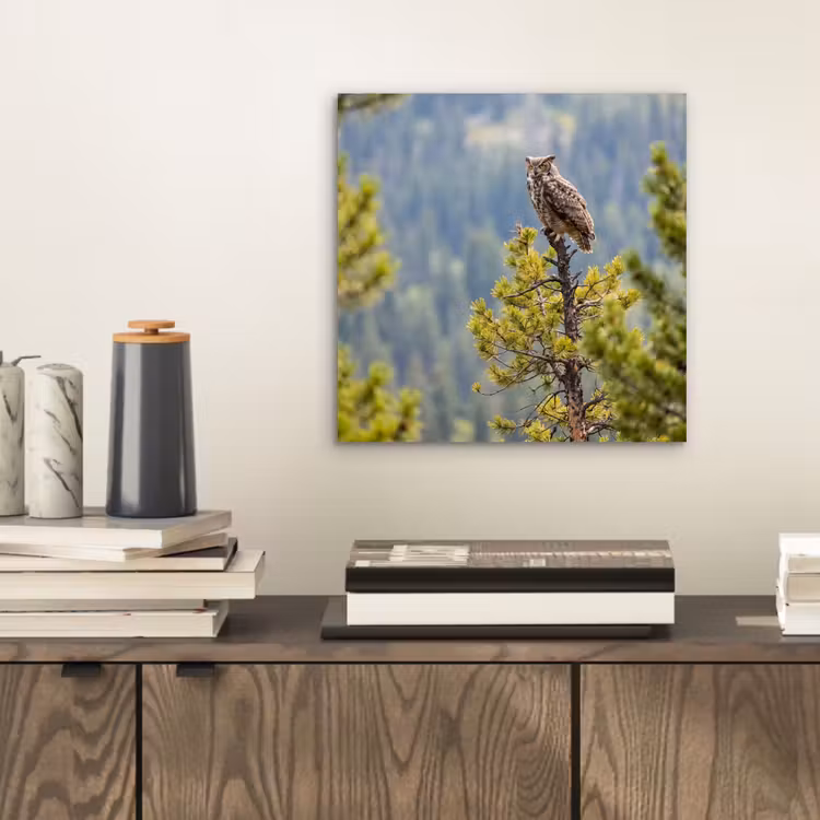 Uil - Oehoe - Bomen - Natuur aluminium wit klein -sfeer1