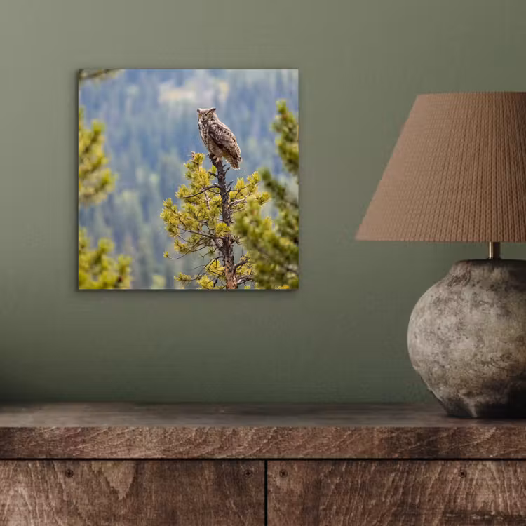 Uil - Oehoe - Bomen - Natuur aluminium wit klein -sfeer2