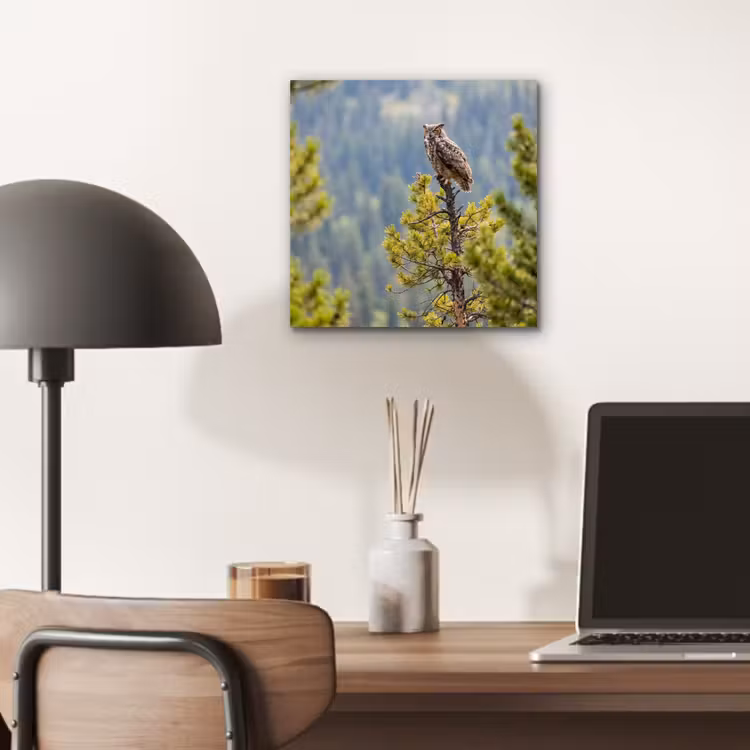 Uil - Oehoe - Bomen - Natuur aluminium wit klein -sfeer5