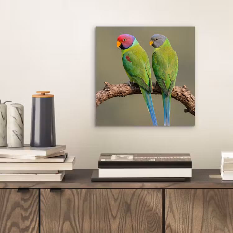 Papagaai - Tak - Natuur - Kleurrijk aluminium wit klein -sfeer1