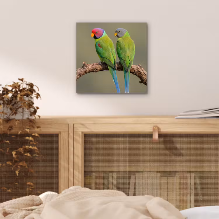 Papagaai - Tak - Natuur - Kleurrijk aluminium wit klein -sfeer3