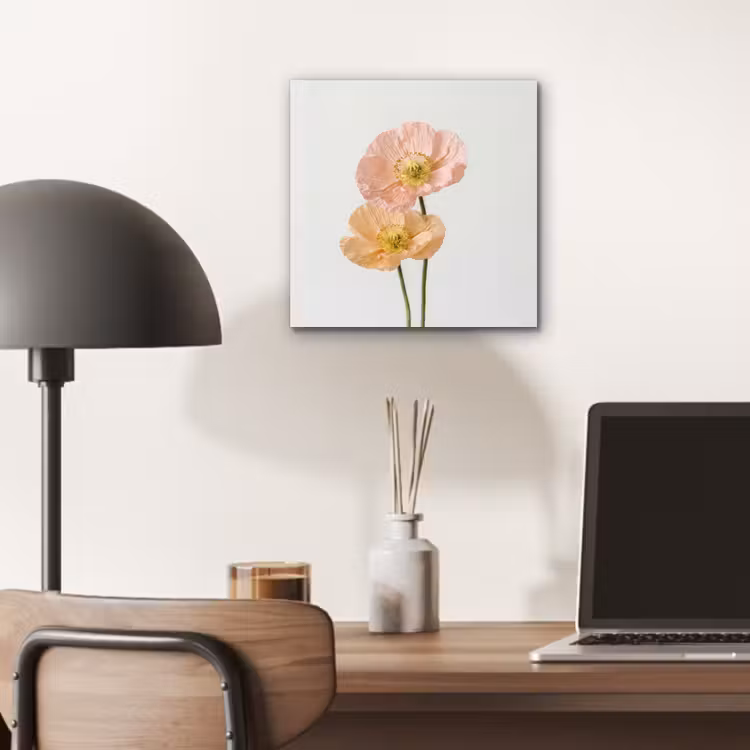 Papavers - Botanisch - Roze aluminium wit klein -sfeer5