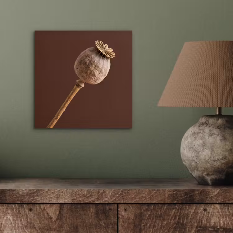 Papaverbol - Droogbloem - Bruin - Minimalistisch aluminium wit klein -sfeer2