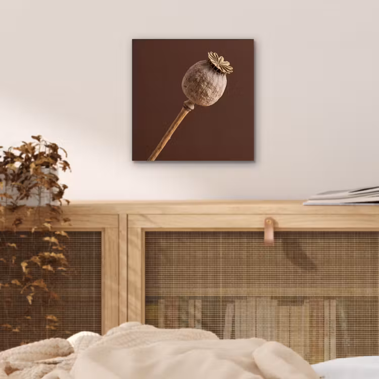Papaverbol - Droogbloem - Bruin - Minimalistisch aluminium wit klein -sfeer3