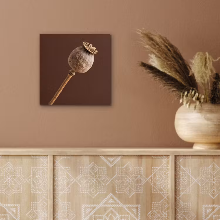 Papaverbol - Droogbloem - Bruin - Minimalistisch aluminium wit klein -sfeer4
