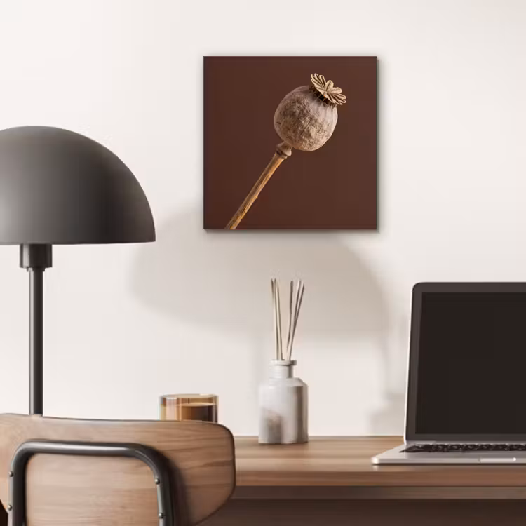 Papaverbol - Droogbloem - Bruin - Minimalistisch aluminium wit klein -sfeer5