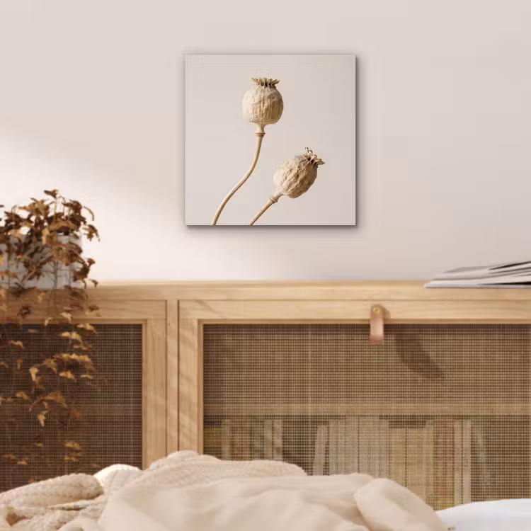 Papaverbollen - Droogbloemen - Minimalistisch - Beige - Rustig aluminium wit klein -sfeer3