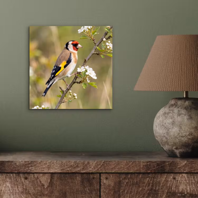 Putter - Bloesem - Lente - Natuur - Kleurrijk aluminium wit klein -sfeer2