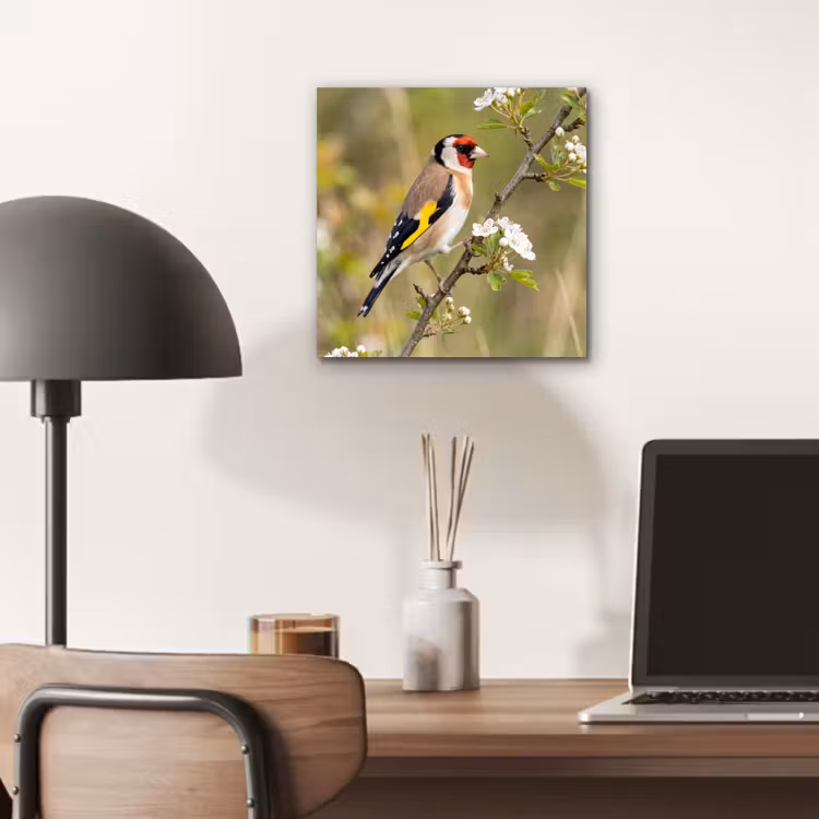 Putter - Bloesem - Lente - Natuur - Kleurrijk aluminium wit klein -sfeer5