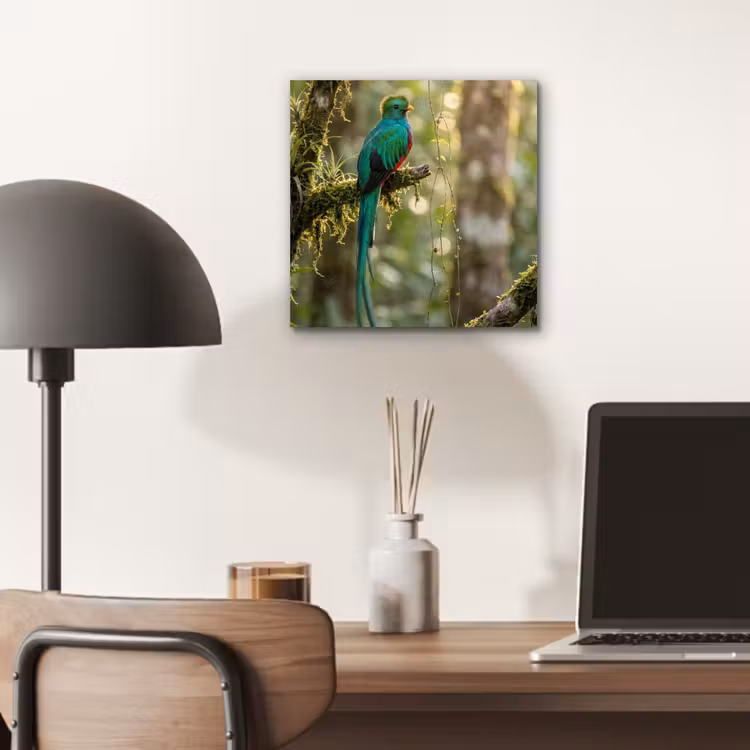 Quetzal - Jungle - Natuur - Groen aluminium wit klein -sfeer5