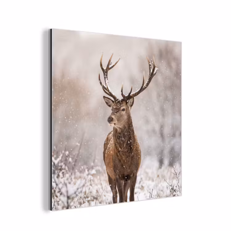 Edelhert - Bos - Sneeuw - Winter - Majestueus aluminium wit klein -3d
