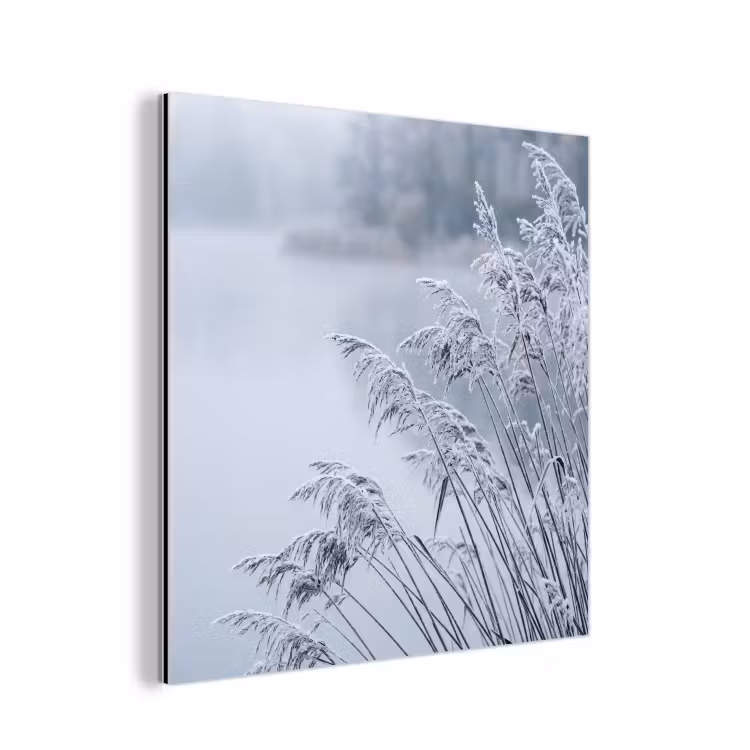 Riet - Bevroren - Winter - Natuur aluminium wit klein -3d
