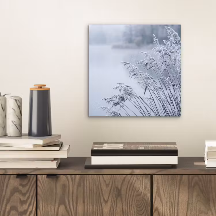 Riet - Bevroren - Winter - Natuur aluminium wit klein -sfeer1