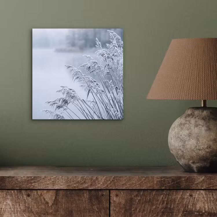 Riet - Bevroren - Winter - Natuur aluminium wit klein -sfeer2