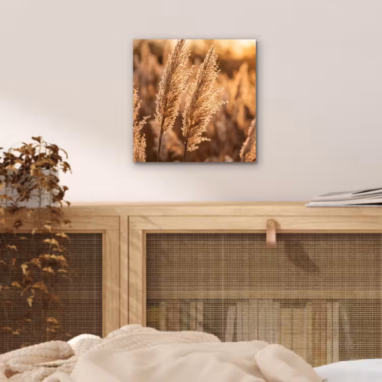 Rietpluimen - Gras - Zonsondergang - Goud - Serene aluminium wit klein -sfeer3