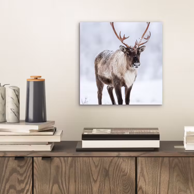 Rendier - Gewei - Toendra - Sneeuw - Wild aluminium wit klein -sfeer1
