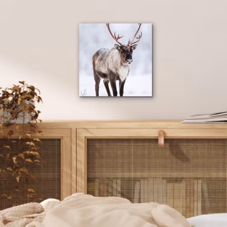 Rendier - Gewei - Toendra - Sneeuw - Wild aluminium wit klein -sfeer3