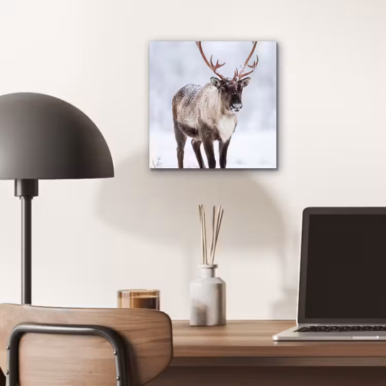 Rendier - Gewei - Toendra - Sneeuw - Wild aluminium wit klein -sfeer5