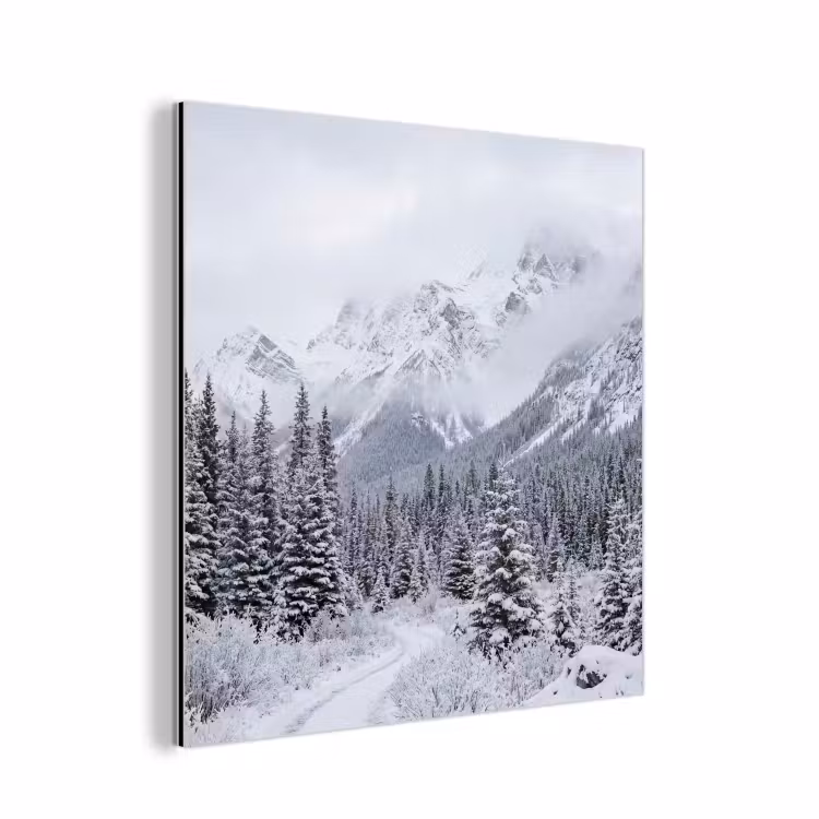 Weg - Bergen - Sneeuw - Naaldbos - Avontuurlijk aluminium wit klein -3d