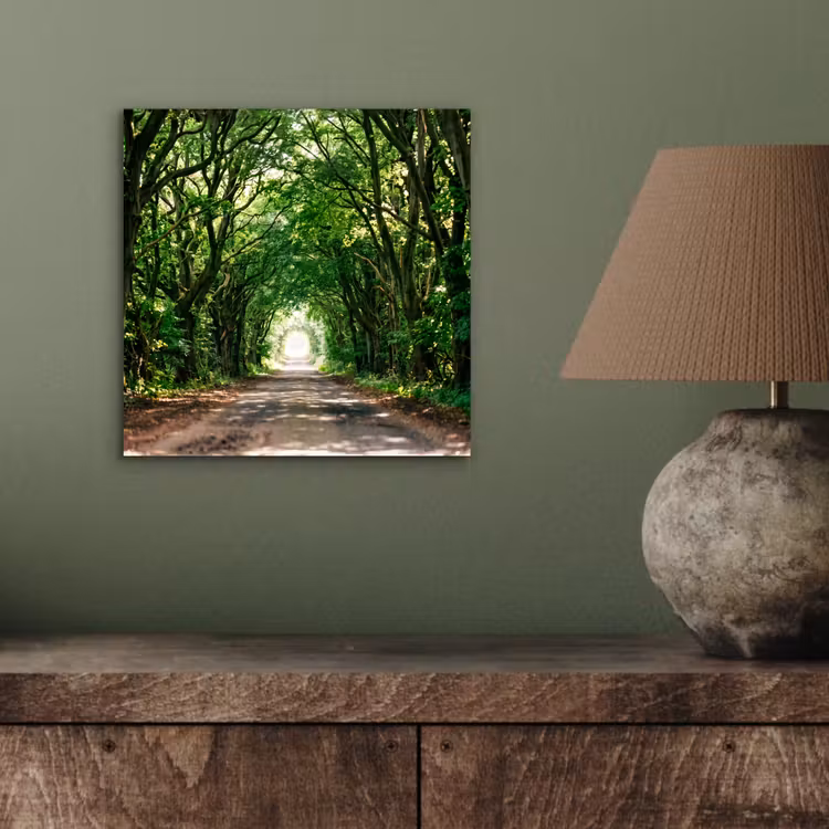 Weg - Bomen - Natuur - Groen aluminium wit klein -sfeer2