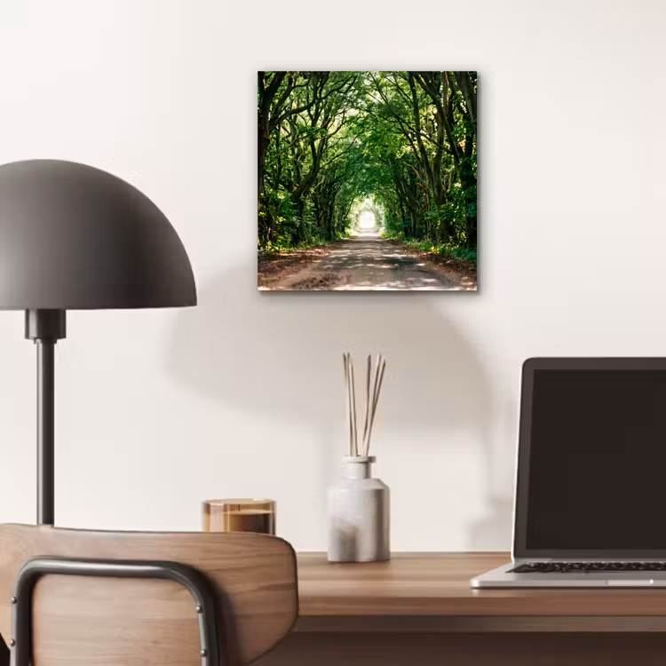 Weg - Bomen - Natuur - Groen aluminium wit klein -sfeer5