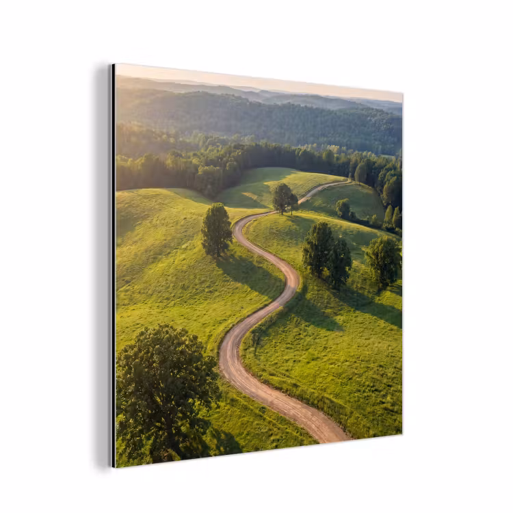 Weg - Weide - Natuur - Groen aluminium wit klein -3d