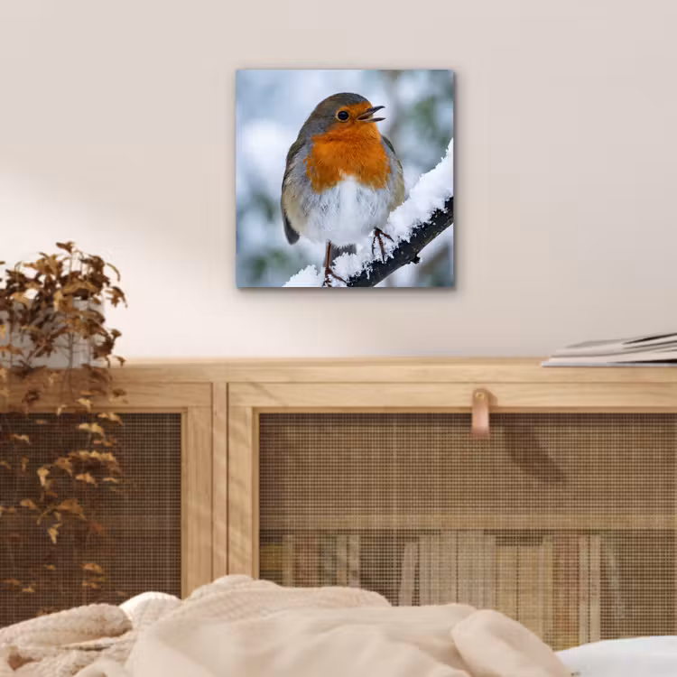Roodborstje - Tak - Sneeuw - Winter - Levendig aluminium wit klein -sfeer3
