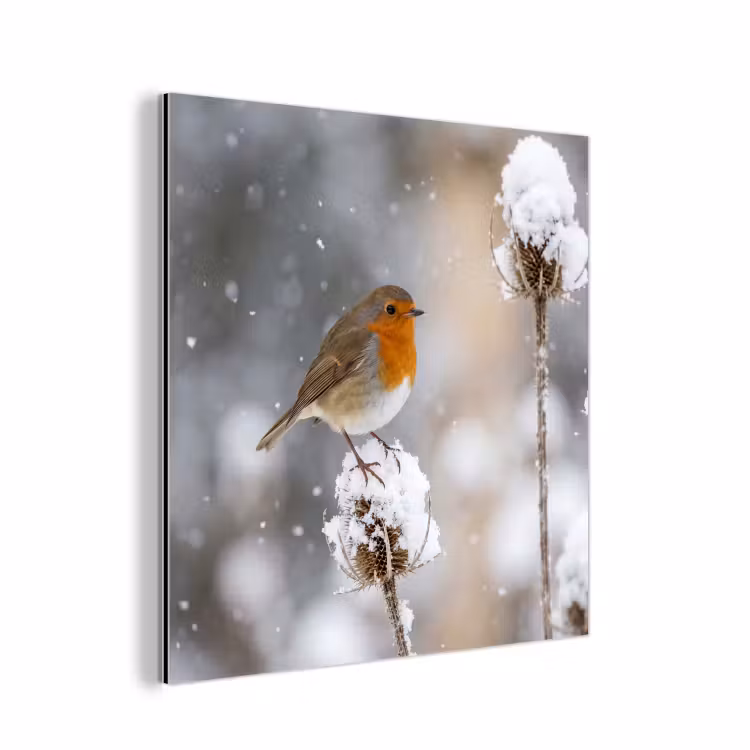 Roodborstje - Gedroogde bloem - Sneeuw - Winter - Vertederend aluminium wit klein -3d