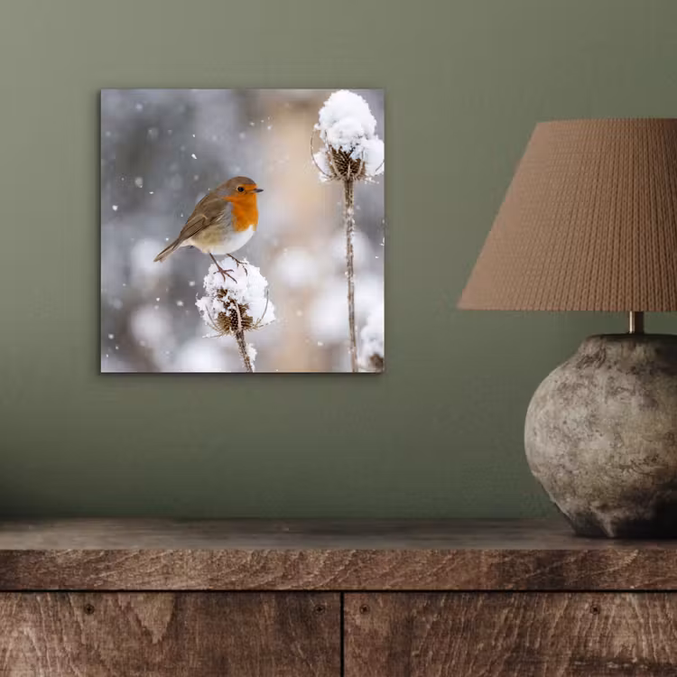 Roodborstje - Gedroogde bloem - Sneeuw - Winter - Vertederend aluminium wit klein -sfeer2